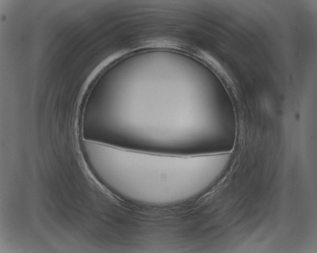 X0000082991331200702011134