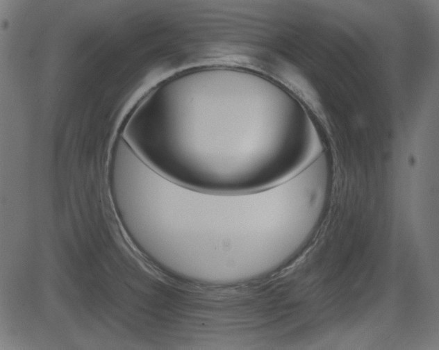 X0000082991332200702011134