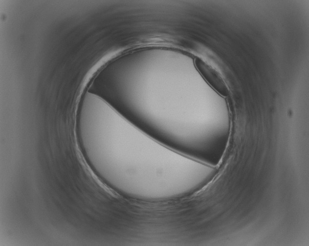 X0000082991333200702011134