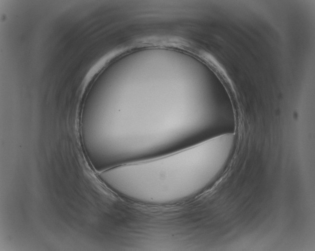 X0000082991336200702011134