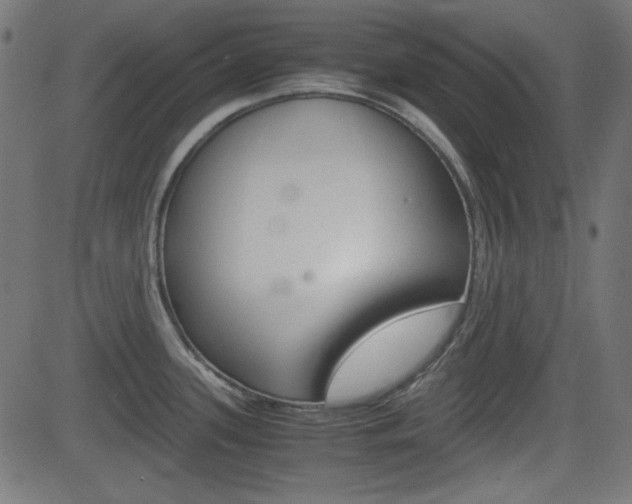 X0000082991339200702011134