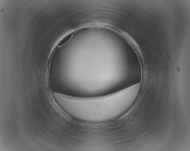 X0000082991340200702011134