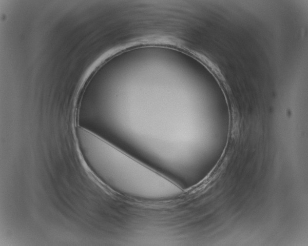 X0000082991342200702011134