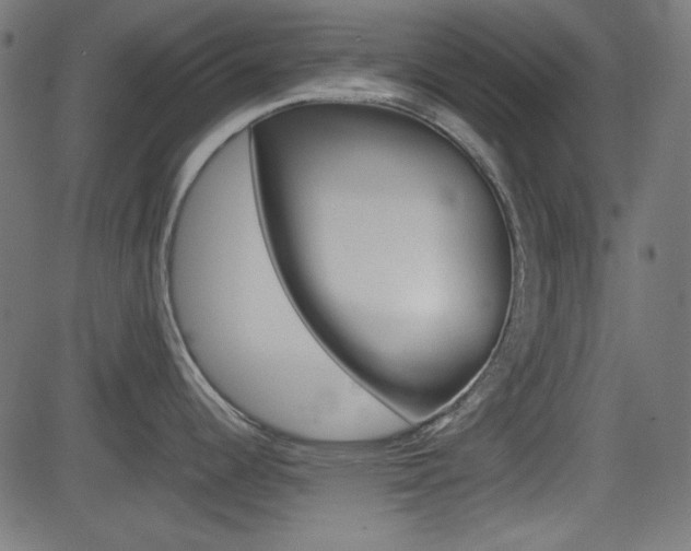 X0000082991344200702011134