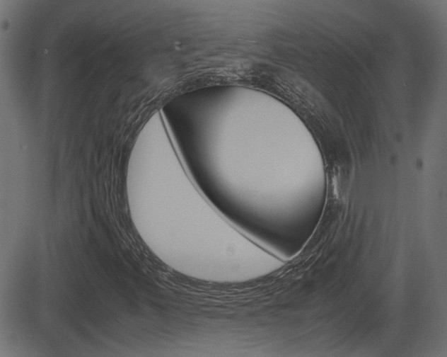 X0000082991347200702011134