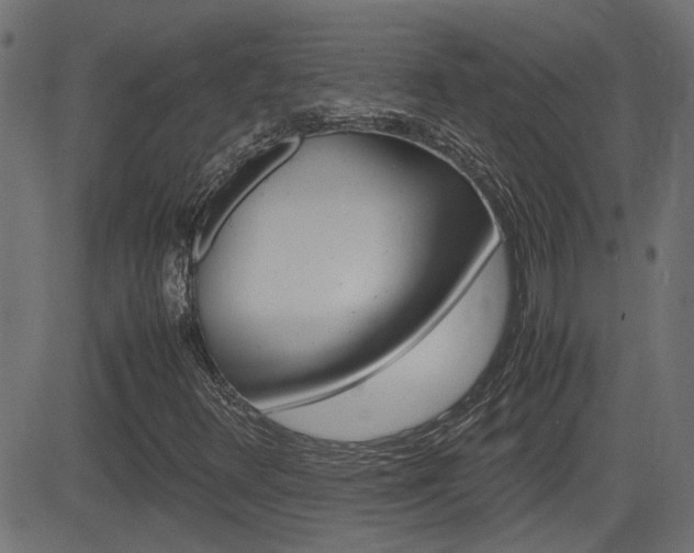 X0000082991348200702011134