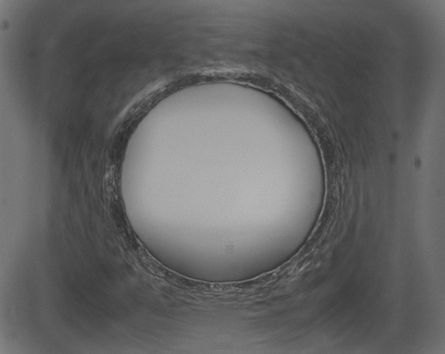 X0000082991351200702011134