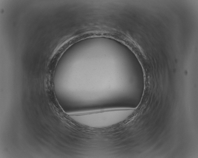 X0000082991352200702011134