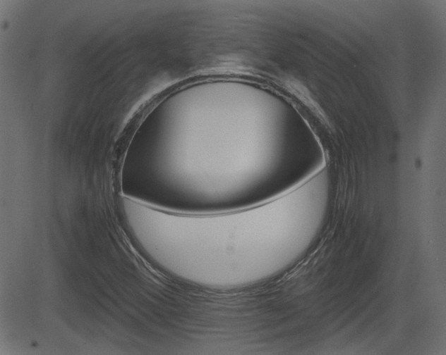 X0000082991356200702011133