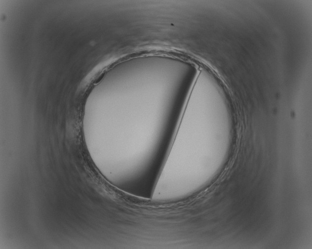 X0000082991359200702011133