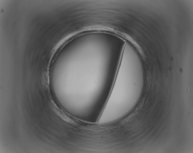 X0000082991372200702011133