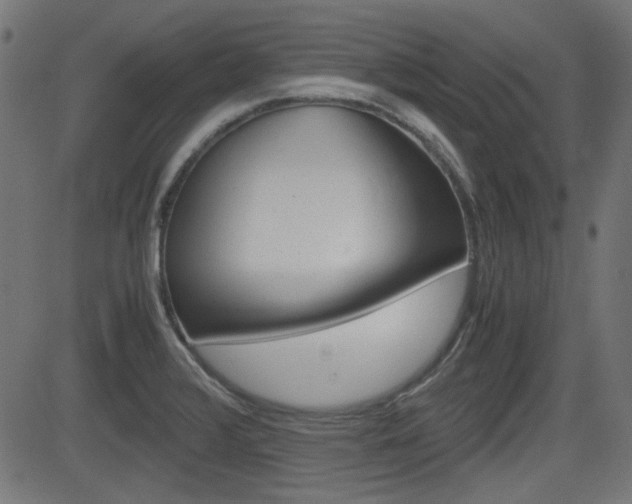 X0000082991376200702011133