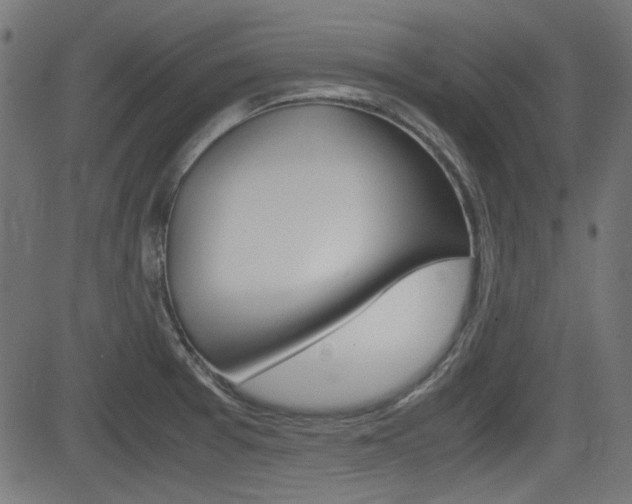 X0000082991377200702011133