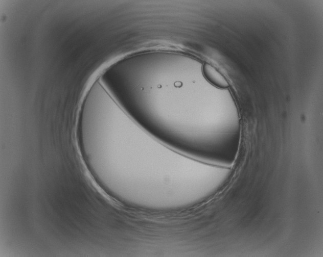 X0000082991379200702011133