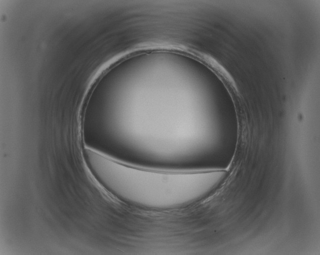 X0000082991380200702011133