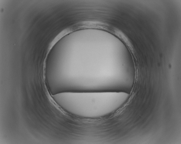 X0000082991386200702011133