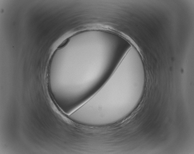 X0000082991387200702011133