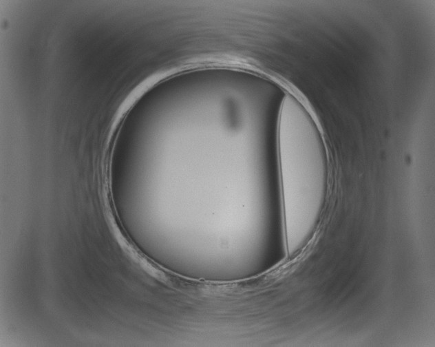X0000082991389200702011133