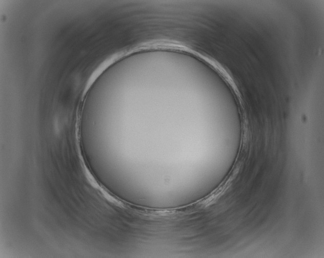 X0000082991390200702011133