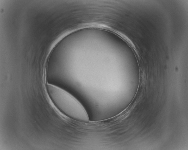 X0000082991391200702011133