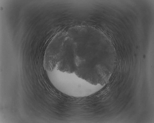 X0000082991393200702011132