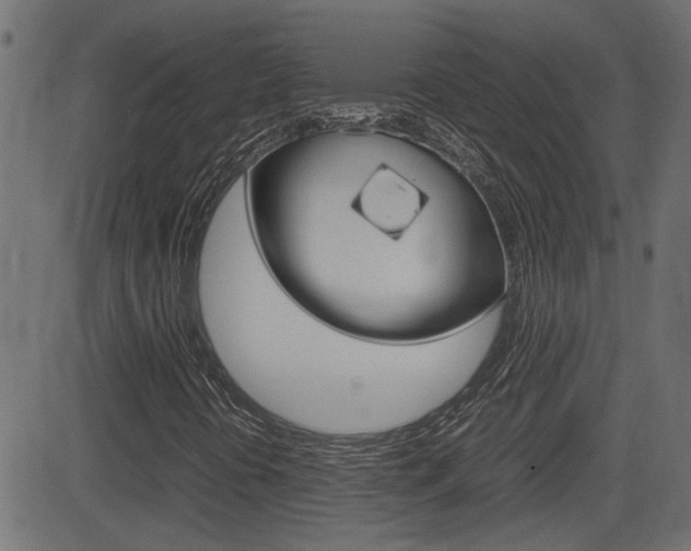 X0000082991394200702011132