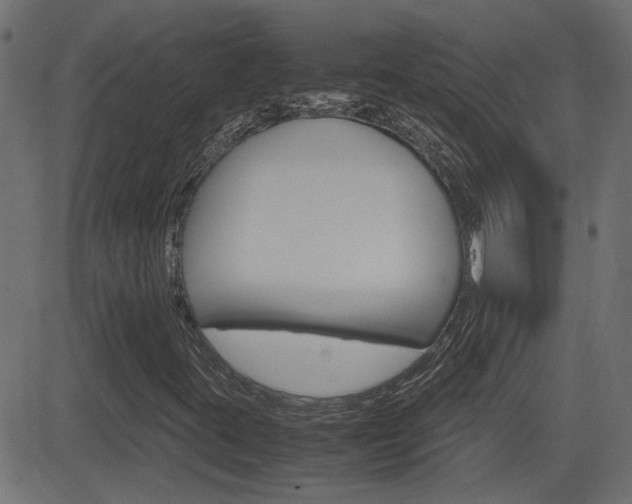 X0000082991395200702011132