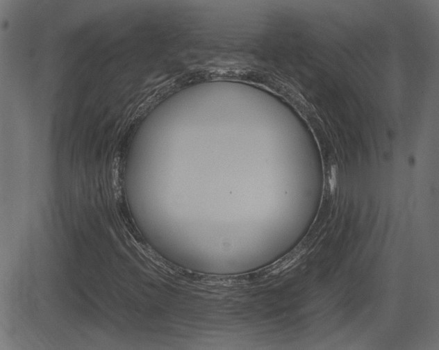 X0000082991396200702011132