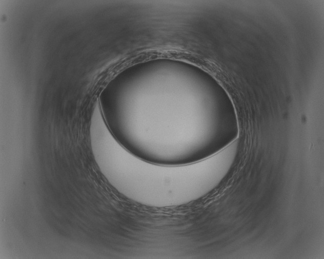 X0000082991398200702011132