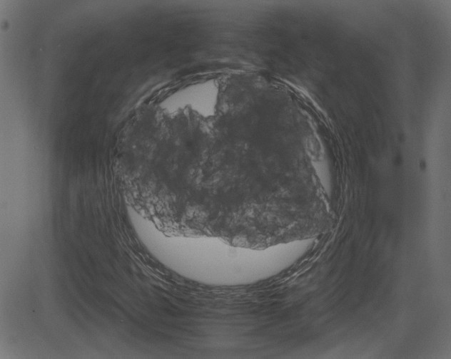 X0000082991399200702011132