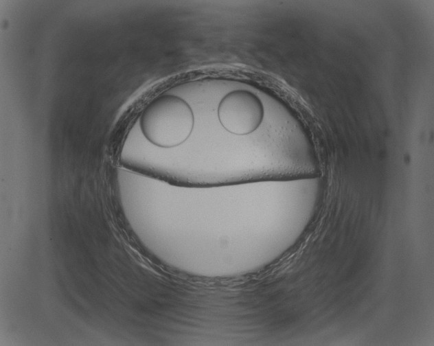 X0000082991400200702011132