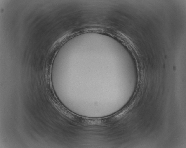 X0000082991403200702011132
