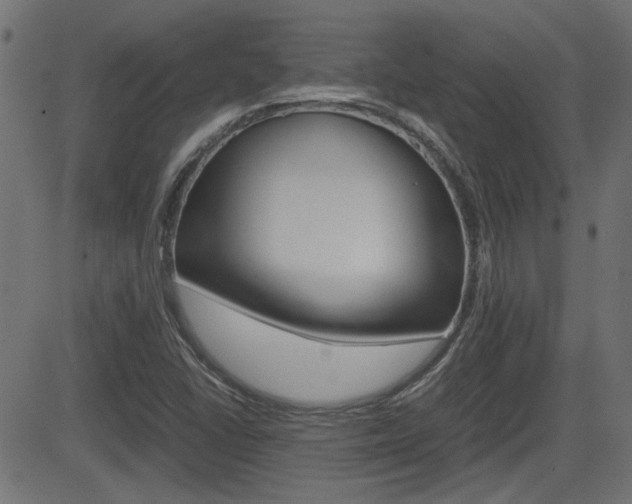 X0000082991406200702011132
