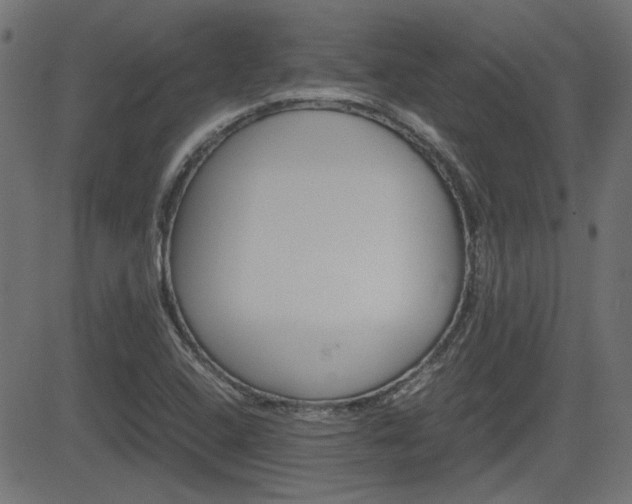 X0000082991408200702011132