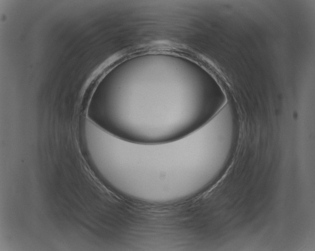 X0000082991410200702011132