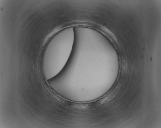 X0000082991411200702011132