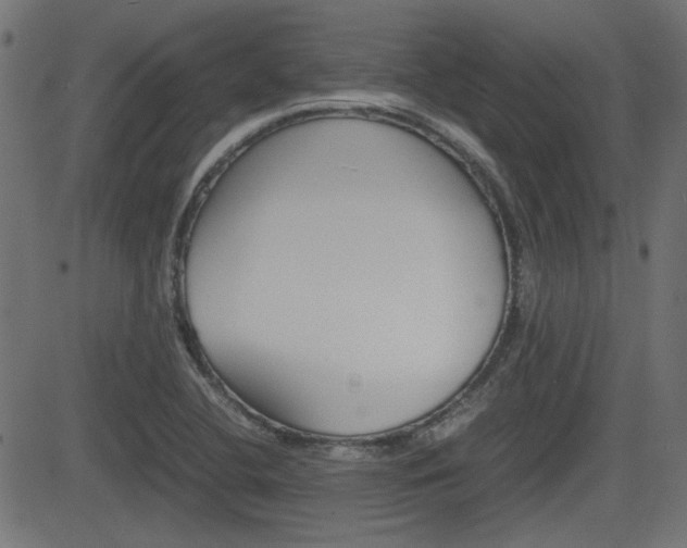X0000082991412200702011132