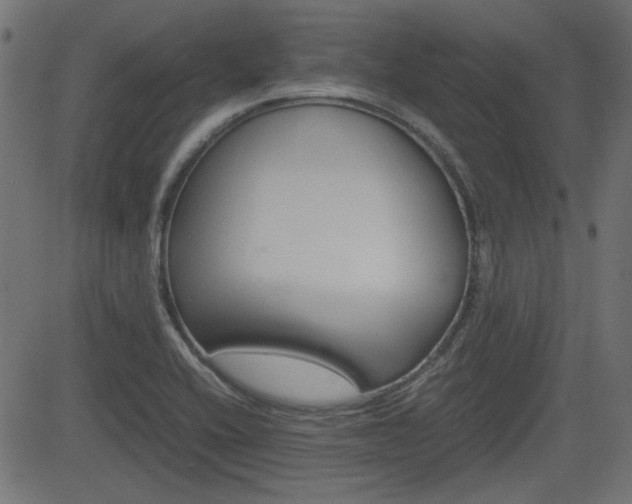 X0000082991416200702011132