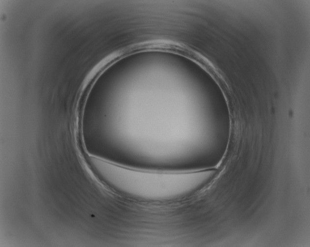X0000082991418200702011133