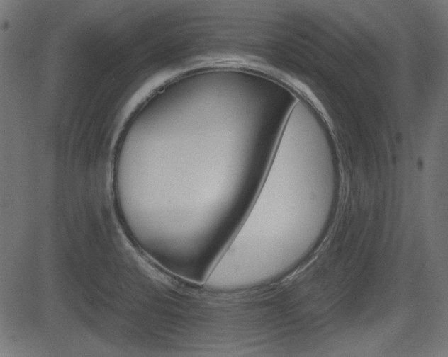 X0000082991424200702011133