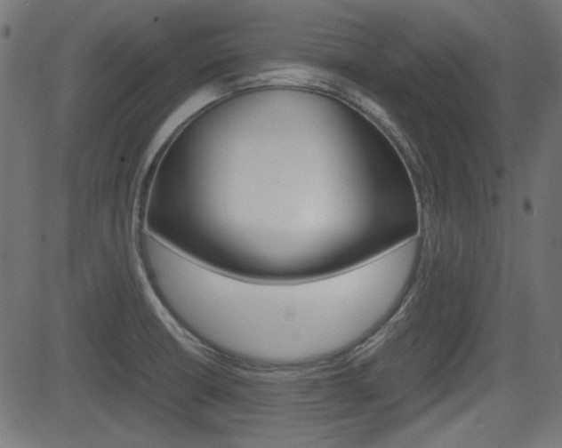 X0000082991426200702011133