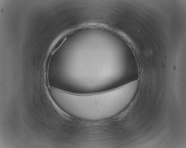 X0000082991430200702011133