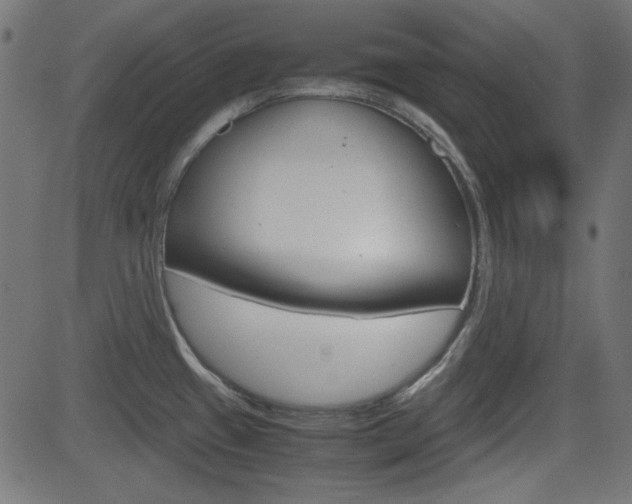 X0000082991433200702011133