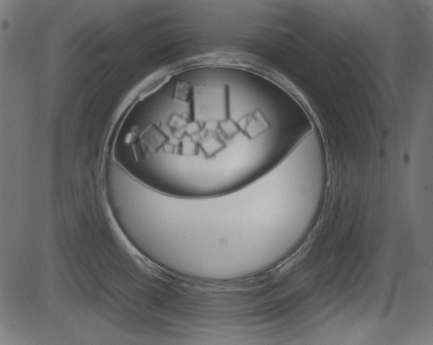 X0000082991434200702011133
