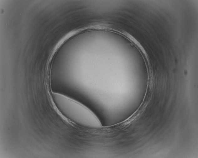 X0000082991437200702011133