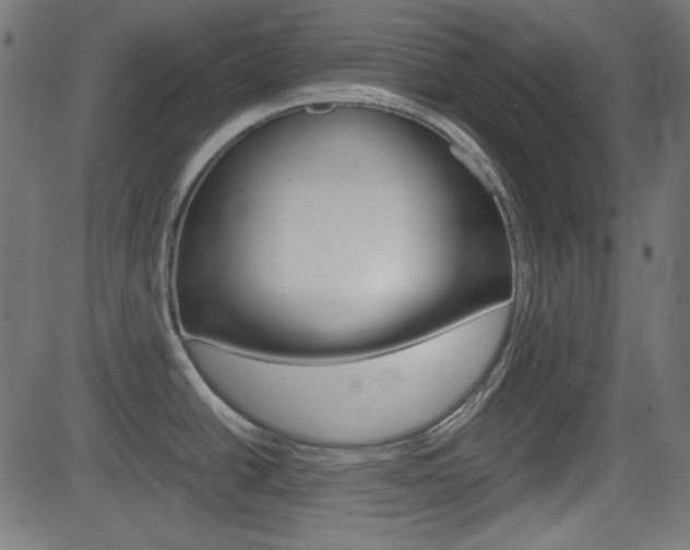 X0000082991438200702011133