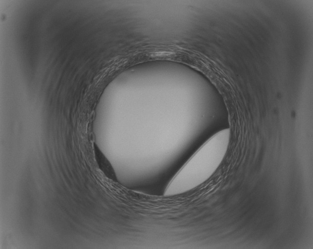 X0000082991441200702011132