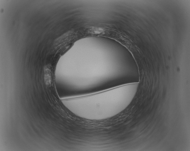 X0000082991442200702011132