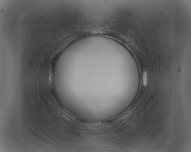 X0000082991444200702011132
