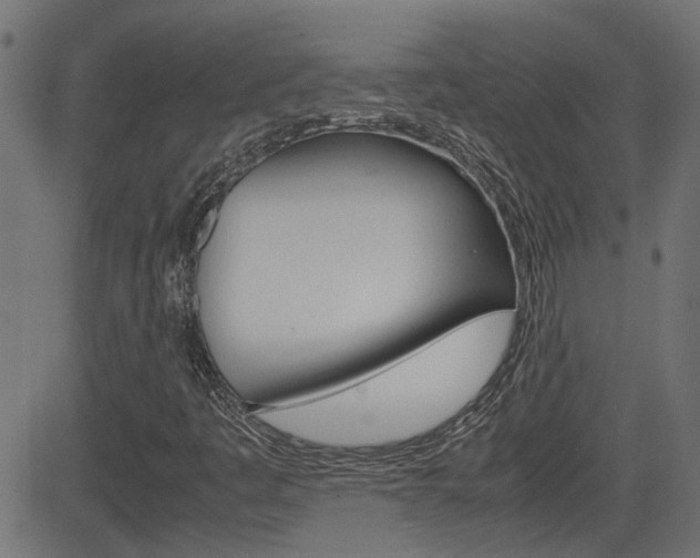 X0000082991445200702011132